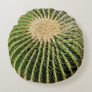 Search for cactus decor Unique