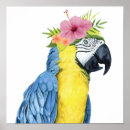 Search for parrot posters Animal