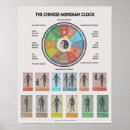 Search for acupuncture posters Meridians