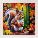 Search for squirrel puzzles Forest