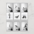 Search for penguin postcards Elephant