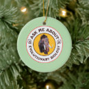 Search for biology ornaments Student
