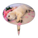 Search for dog cake toppers Baby