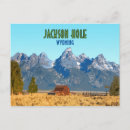 Search for jackson hole postcards Wyoming souvenir