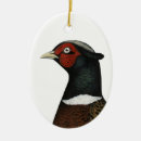 Search for pheasant ornaments Hunting