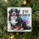 Search for bernese mountain dog ornaments Berner