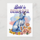 Search for hairless cat Cats
