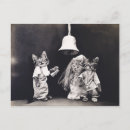Search for funny thank you cards Cats