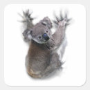 Search for koala bear stickers Australia