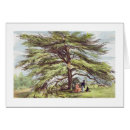 Search for kew gardens postcards Ernest