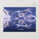 Search for antarctica postcards Scenic