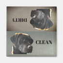 Search for cute magnets Animal