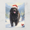 Search for dog christmas postcards Winter
