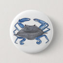 Search for crab buttons Ocean