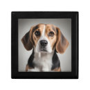 Search for cute gift boxes Dog