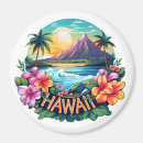 Search for hawaii souvenir magnets Tropical