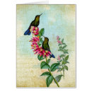 Search for wildlife get well cards Bird