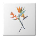 Search for tropical tiles Orange