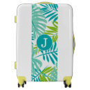 Search for cool luggage Modern