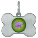 Search for the lily pet tags Green