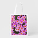 Search for white daisy accessories Plants