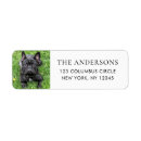Search for dog return address labels Modern