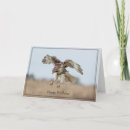 Search for hawk birthday cards Wildlife