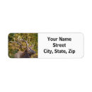 Search for wildlife return address labels Antlers