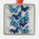 Search for blue butterfly ornaments White