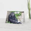Search for funny gorilla birthday cards Chimp