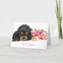 Search for cavalier king charles spaniel valentines day cards Spaniels