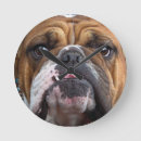 Search for english bulldog gifts Dog lover