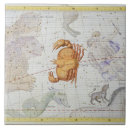 Search for zodiac sign tiles After