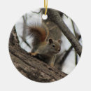 Search for squirrel ornaments Red