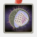 Search for virus ornaments Small business