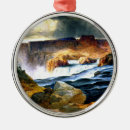 Search for idaho ornaments Nature