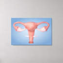 Search for female anatomy canvas prints Digitally generated image