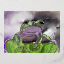 Search for frog postcards Abstract