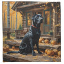 Search for black labrador retriever napkins Animals