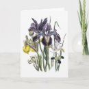 Search for iris watercolor cards irises