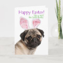 Search for pug easter cards Rabbit