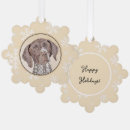 Search for german shorthaired pointer ornaments White