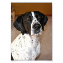Search for gsp art Pointer