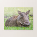 Search for wildlife puzzles Animal