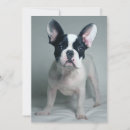 Search for french bulldog thank you cards Animal