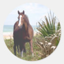Search for horse stickers Equestrian