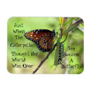 Search for butterfly magnets Monarch