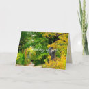 Search for fall get well cards Nature