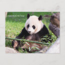Search for giant postcards China