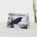 Search for crow christmas cards Wildlife